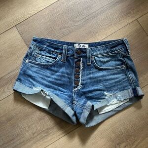 We The Free Distressed Blue Jean Shorts